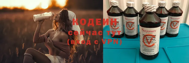 цена наркотик  MEGA ссылка  Кодеиновый сироп Lean напиток Lean (лин)  Слюдянка 